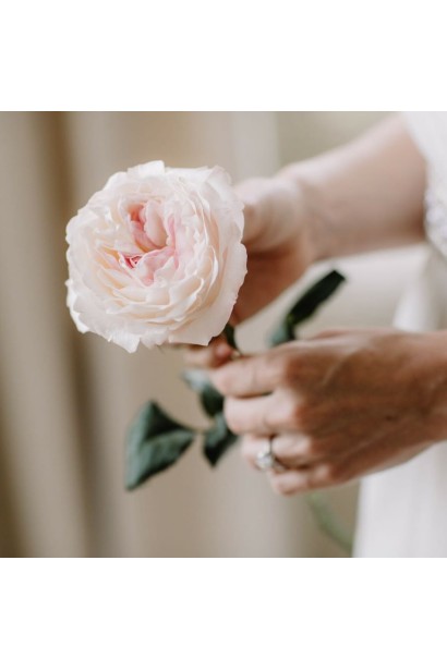 Квітка троянди Кейра